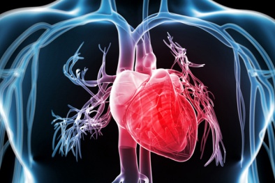 Các nhà khoa học đã tạo ra máy trợ tim sinh học